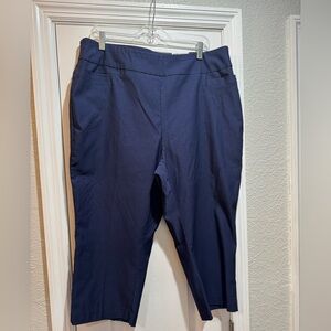 Kim Rogers Dark Blue Ankle Pants